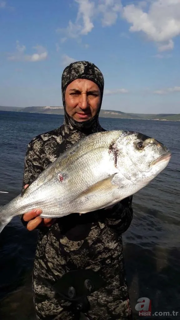 Tüpsüz dalışta, boyu büyüklüğünde balık avlıyor 13