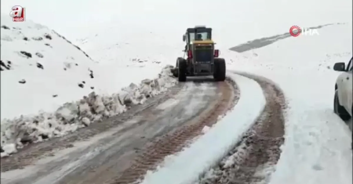 Siirt'te karda araçlar yolda mahsur kaldı