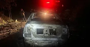 Park halindeki otomobil küle döndü