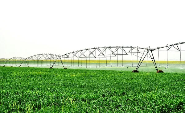 Tarım ve Orman Bakanı Bekir Pakdemirli’den TİGEM Ceylanpınar Sulama Projesi açılışında flaş açıklamalar