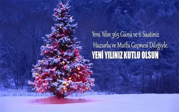 YILBAŞI KUTLAMA MESAJLARI 2023! Anneye, babaya, ablaya, abiye, yakın arkadaş yeni yıl kutlama mesajları! En güzel resimli yılbaşı kutlama sözleri