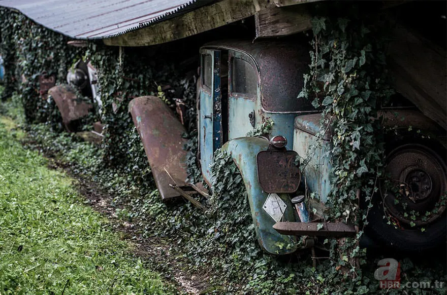 Corvette marka arabalar çürümeye terkedilmiş halde bulundu 🚗 24