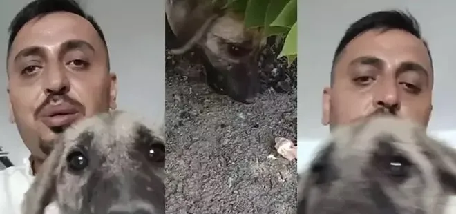 Ağır hasarlı binaya girip yavru köpeği kurtardı