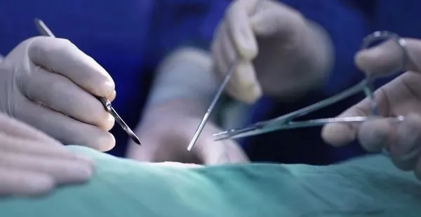 Avrupa’da sağlık krizi tacizi! Kadın sağlıkçıların yaşadıkları kan dondurdu