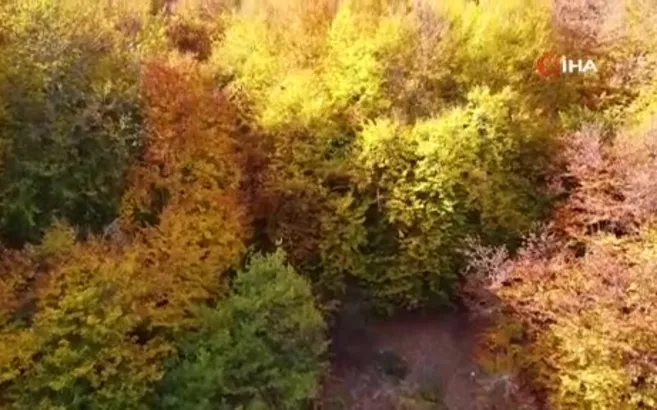 Şebek Geçidi’nde sonbahar güzelli