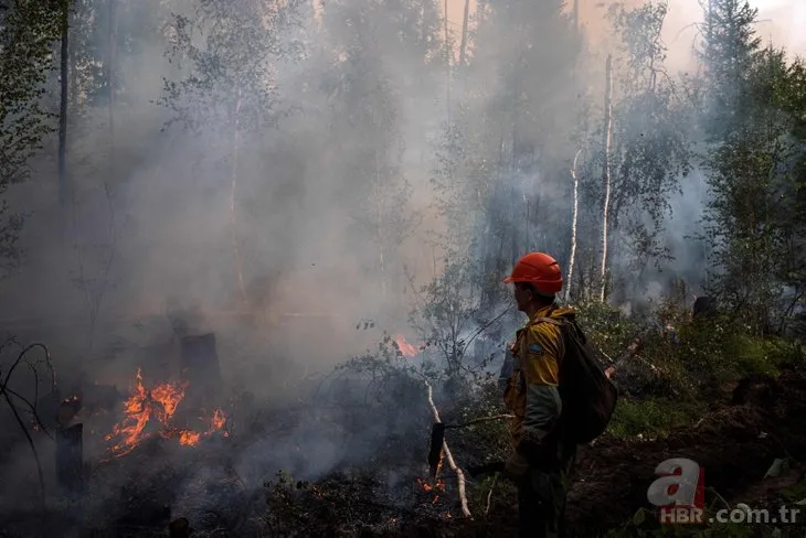 Orman yangınları 2022’de de devam edecek mi? Türkiye’yi gelecekte ne bekliyor? İşte en riskli bölgeler