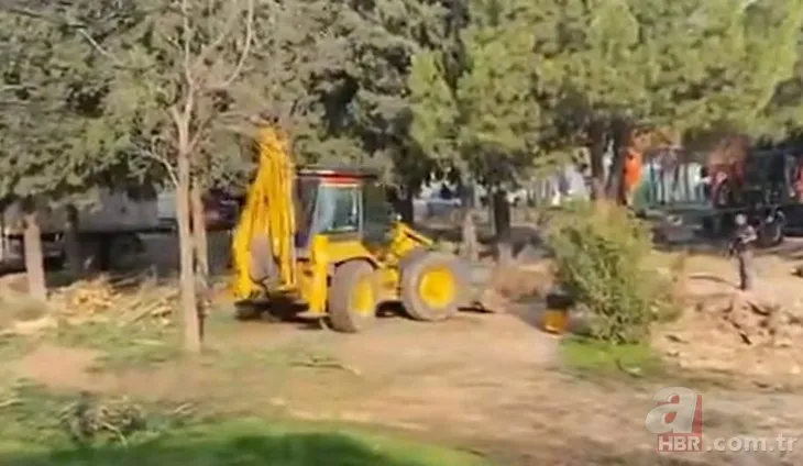 Sözce çevreci CHP’nin bir belediyesi daha rant için ağaçları katletti! İşte restoran için yapılan vahşet