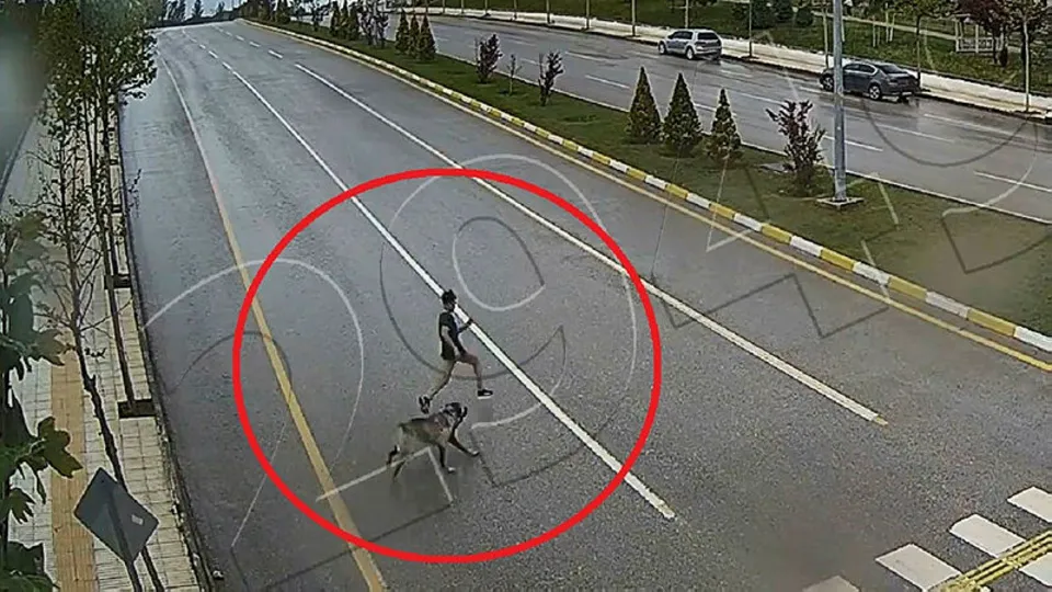 Çorum’da sokak köpeği çocuğa saldırdı! O anlara ilişkin görüntüler ortaya çıktı