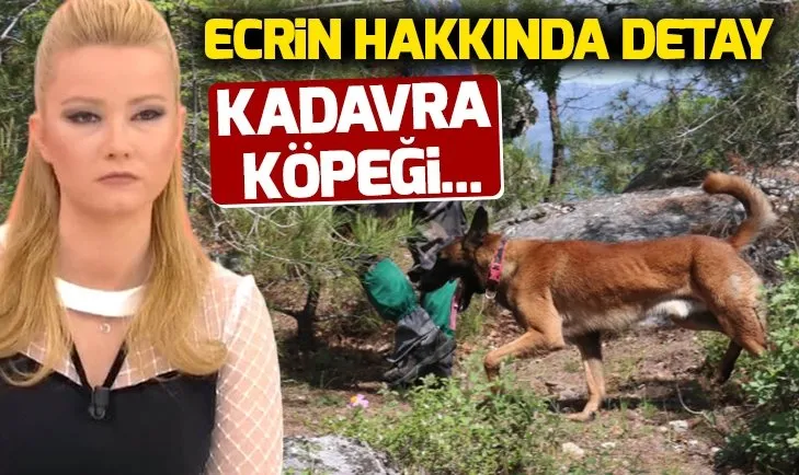 Müge Anlı Ecrin hakkındaki son dakika gelişmesini açıkladı! Kadavra köpeği...