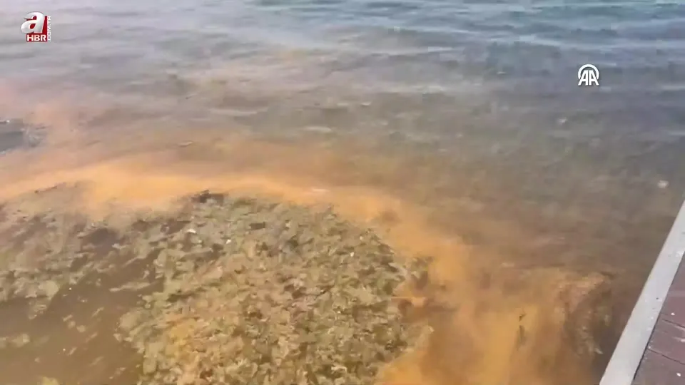 Karamürsel’de denizin kıyısı turuncuya büründü