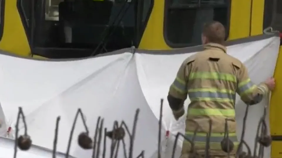 Hollanda’da silahlı saldırı can aldı