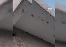Evin dış cephesini sinekler istila etti
