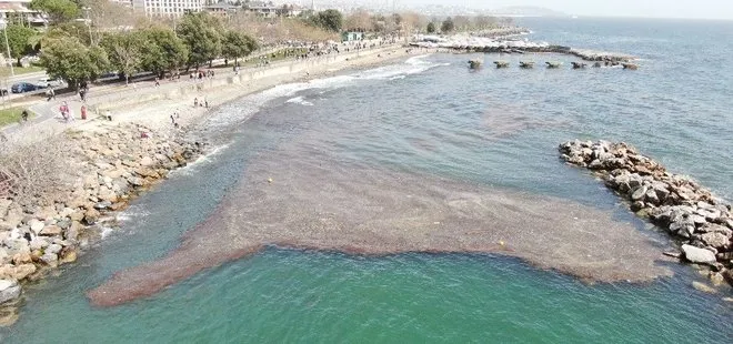 Caddebostan’da deniz 2 metre çekildi! Yer yer kirlilik görüldü