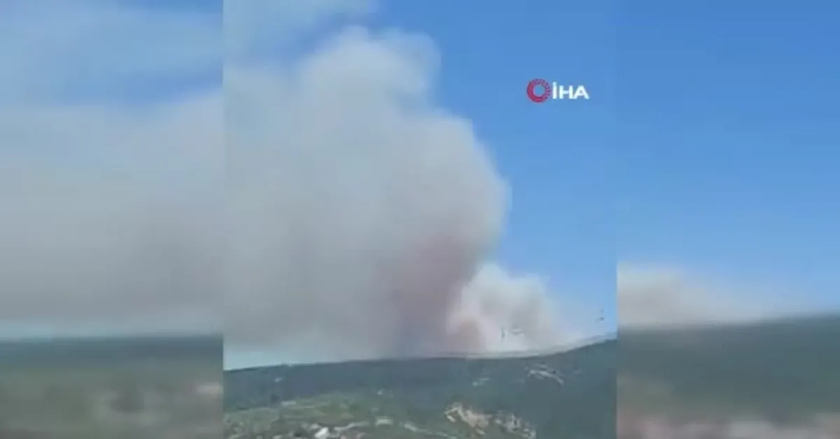 Soma'da orman yangını