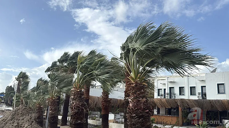 Meteoroloji son dakika | 22 il için sarı alarm: Sağanak, kar, don, fırtına... Soğuklar başlıyor 4