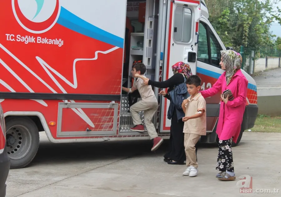 Okul bahçesinde yuva yapan arılar öğrencilere saldırdı 2