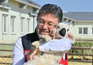 Tarım ve Orman Bakanı İbrahim Yumaklı duyurdu: Cuma günü hesaplara yatırılacak