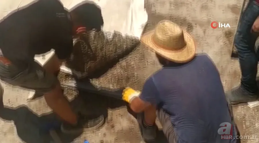 Şans eseri fark etti! Evinin avlusundan hazine çıktı 2