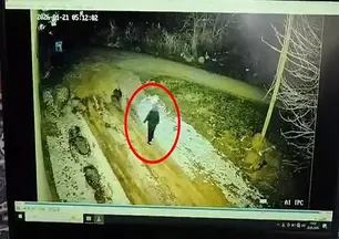 Diyarbakır'da kaybolan Nimet Kılıç'tan 6 gündür iz yok! 137 kişilik ekip sahada