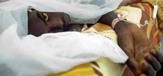 Nijerya’da sarı humma salgınında 115 kişi öldü