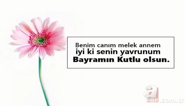 Kurban Bayramı içten, duygulu cep telefonu mesajları: Eşe, dosta, akrabaya en güzel bayram sözleri... 1