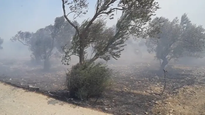 balikesirde-art-arda-yangin-ekipler-mudahale-ediyor-1749572190158.jpg FOTOĞRAF: AA