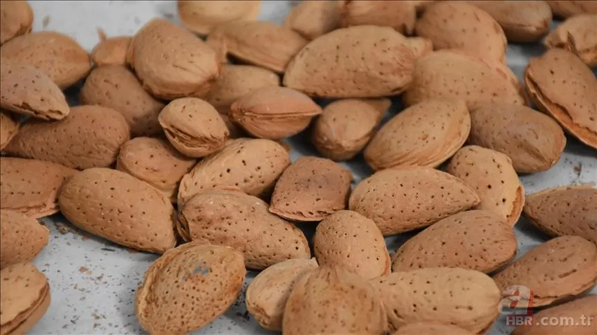 İştahı bıçak gibi kesen en etkili besin! Sahurdan iftara kadar tok tutuyor... 7