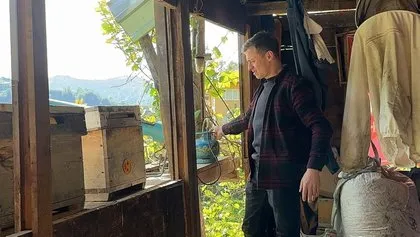 Patlama sesi köylülerin ödünü koparıyor! Rize’de kovanlara dadanan ayılara ilginç önlem
