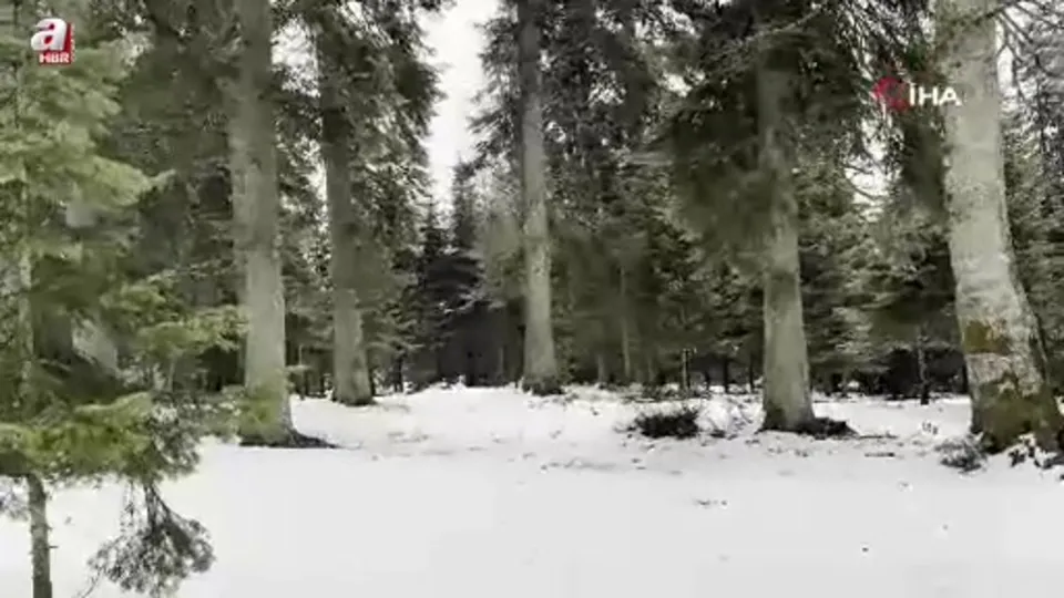 Düzce’nin yüksek kesimlerde kar yağdı