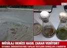 Müsilaj test sonuçları ilk kez A Haber’de!