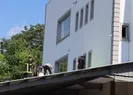 Evlenmek istediği kızı ailesi istemeyince...