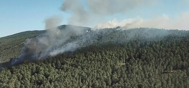 Son dakika: Aydos Ormanı’ndaki yangın kontrol altına alındı