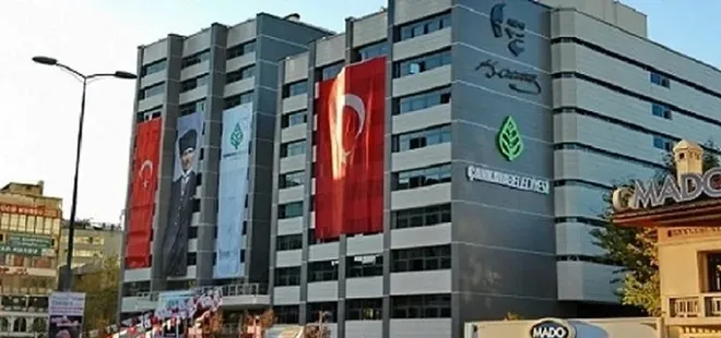 CHP’li Çankaya Belediye’sinden sistematik ağaç katliamı! Bölge halkına baskı ve darp