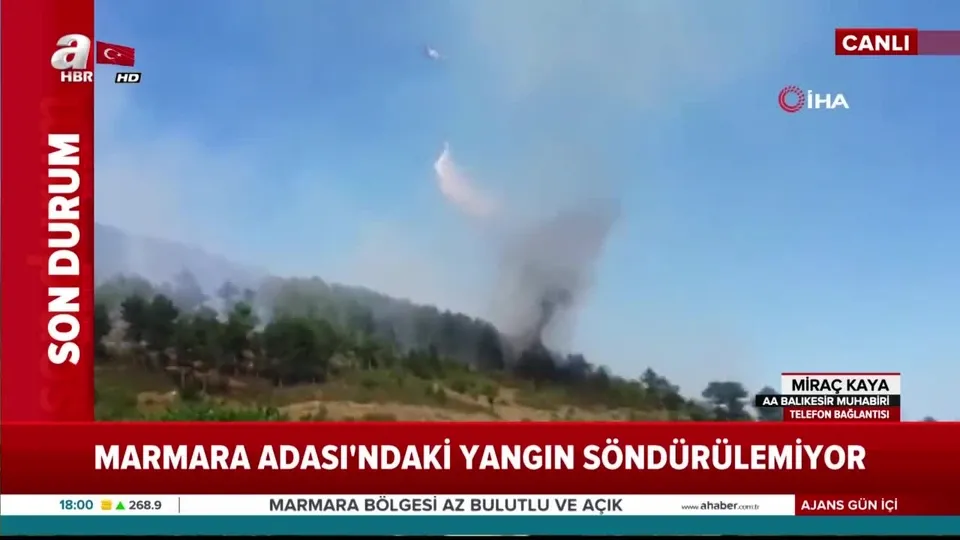 Balıkesir’de orman yangını | Video