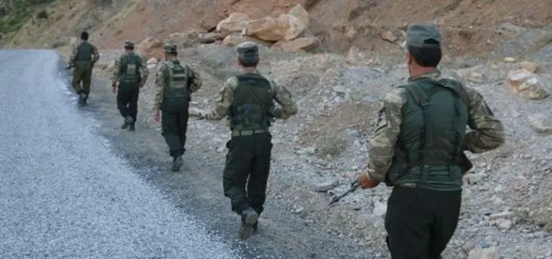 Siirt'te 2 korucu şehit