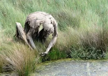 Dünyadan ilginç fotoğraflar