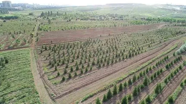Orman Genel Müdürlüğü 1613 personel alımı başvuruları başladı mı? OGM personel alımı başvuruları ne zaman başlayacak? - 4