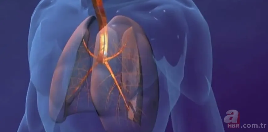 Covid-19'un mutasyon geçirip geçirmediği nasıl anlaşılıyor? Virüs neden mutasyon geçirdi? Mutasyon nedir? 10