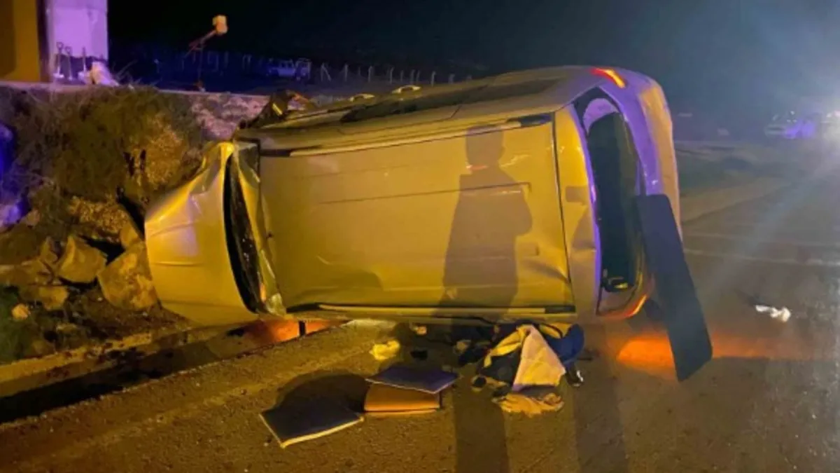 Sokakta gezen eşekler dehşet saçtı: Zincirleme kazada araç takla attı