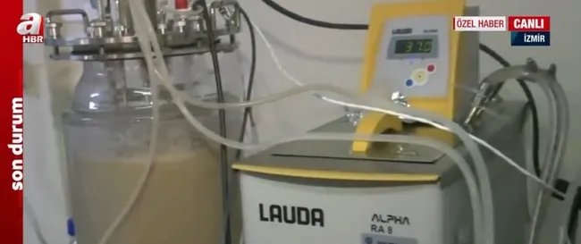 Koronavirüse karşı yerli “DNA” aşısı! DNA aşısı nedir, nasıl üretiliyor - 7