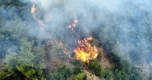 Karabük’te korkutan orman yangını!