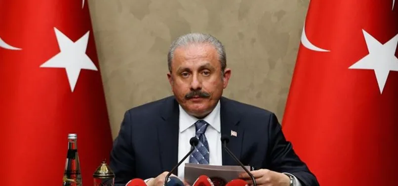 TBMM Başkanı Şentop'tan yeni yıl mesajı