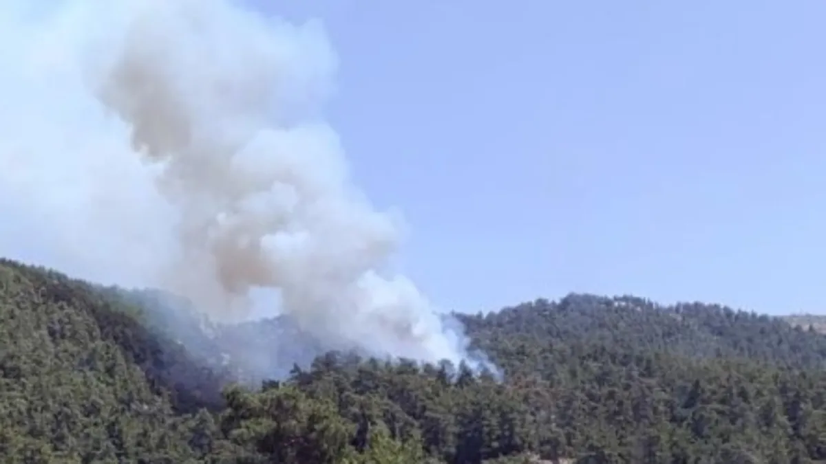 Muğla Milas'ta orman yangını! Alevler 3,5 saatin ardından kontrol altında