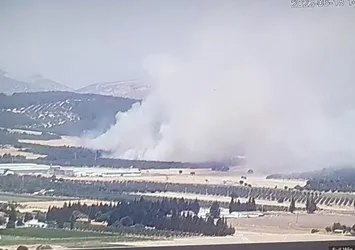 Son dakika | İzmir Foça'da korkutan orman yangını! Ekipler bölgede! Havadan karadan müdahaleyle kontrol altına alındı