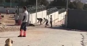 Konya’da köpeklere eziyet: 2 kişi tutuklandı
