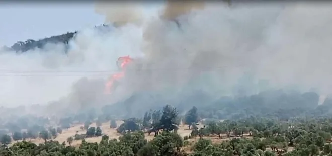 İzmir’deki orman yangını kontrol altında!