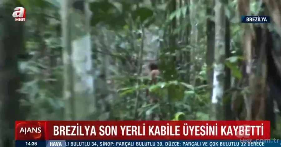 26 yıl kimseyle konuşmayan Çukur Adam öldü! Dış dünyayla teması olmayan kabilenin son üyesiydi 2