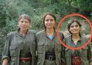 Kerkük’te MİT operasyonu! PKK’ya üst düzey darbe