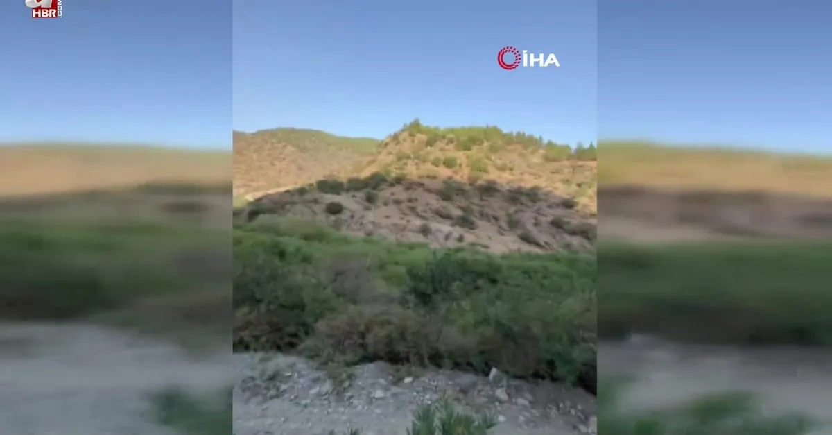 Buharkent'te orman yangını