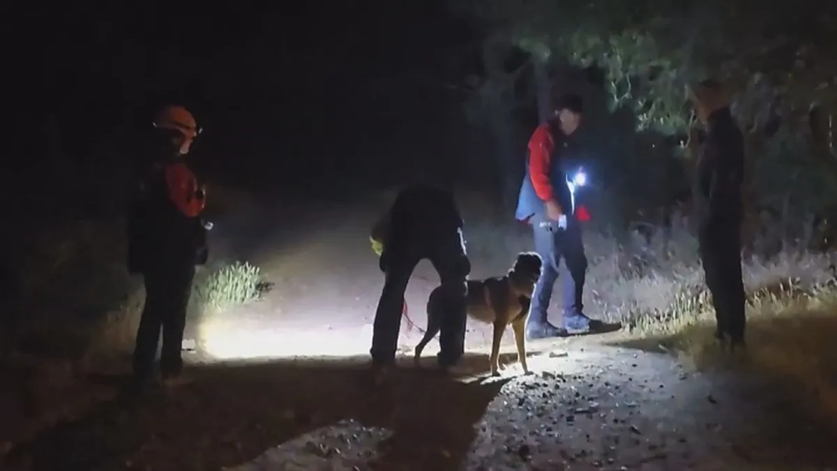 Pendik'te hareketli dakikalar! Bir kişi ormanda kayboldu: Ekipler hartekete geçti